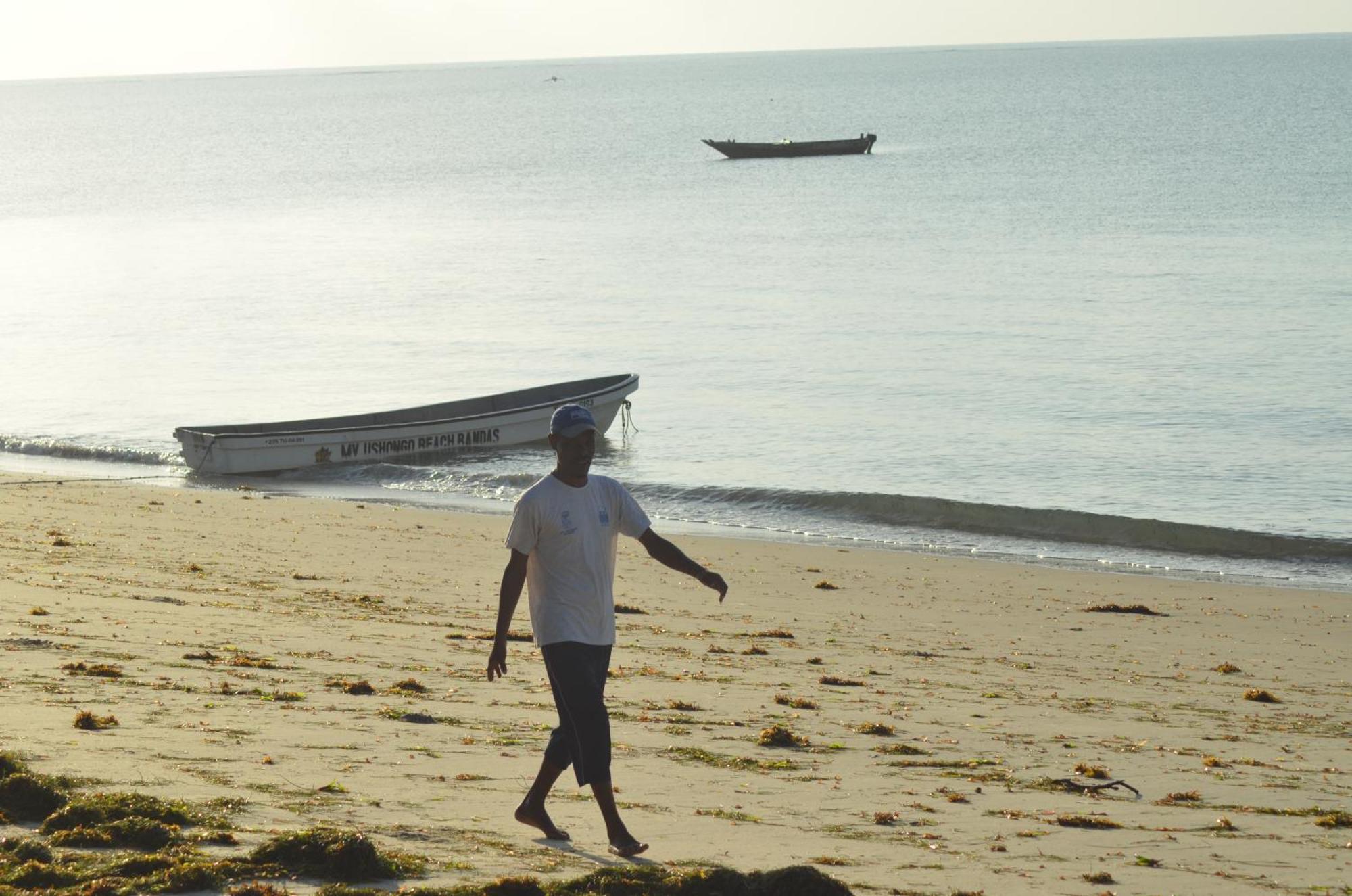 Lui Ushongo Beach House Pangani Bagian luar foto